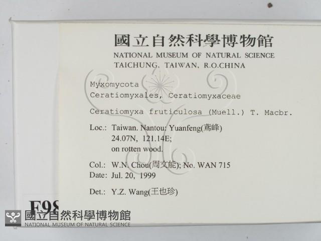 登錄號:F0009874藏品圖，第2張