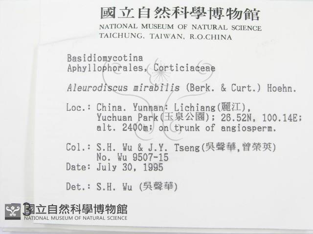 登錄號:F0003874藏品圖，第2張