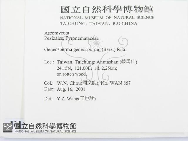 登錄號:F0013874藏品圖，第2張