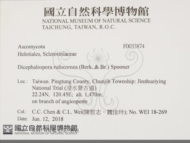 登錄號:F0033874藏品圖，第2張