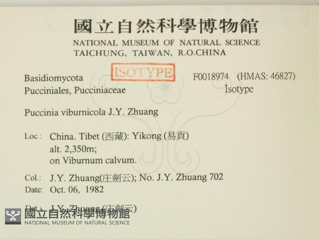 登錄號:F0018974藏品圖，第2張
