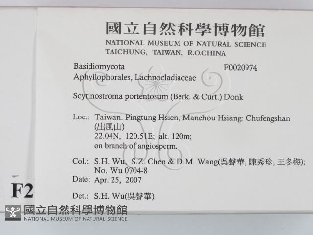 登錄號:F0020974藏品圖，第2張