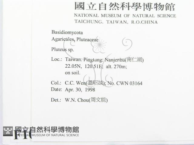 登錄號:F0010974藏品圖，第2張
