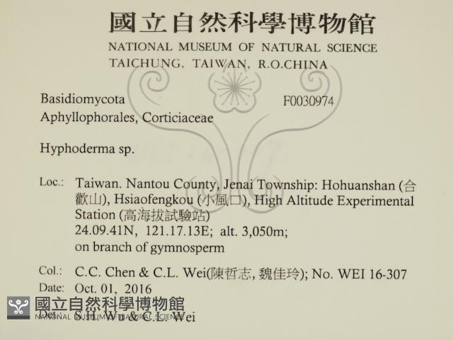 絲皮菌屬藏品圖，第2張