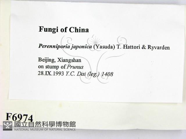 登錄號:F0006974藏品圖，第2張