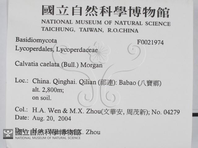 登錄號:F0021974藏品圖，第2張