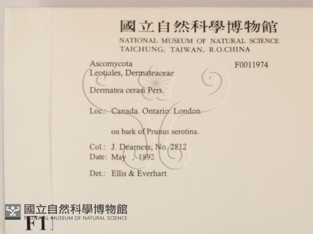 登錄號:F0011974藏品圖，第2張