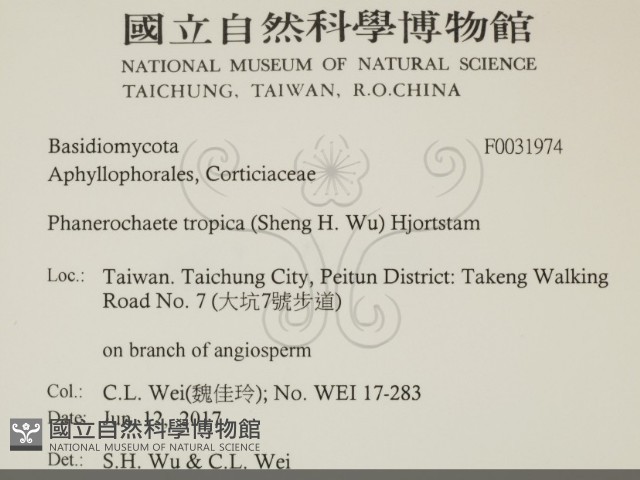 登錄號:F0031974藏品圖，第2張