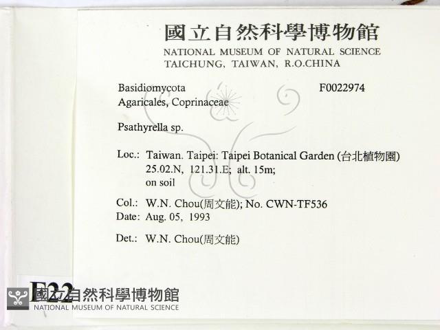 登錄號:F0022974藏品圖，第2張
