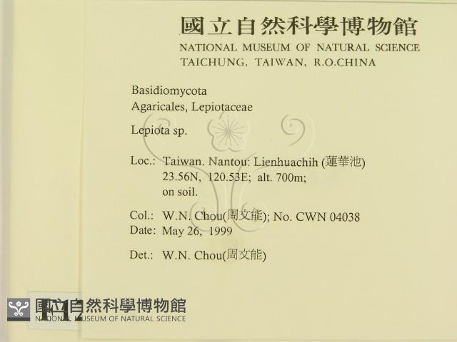 登錄號:F0012974藏品圖，第2張