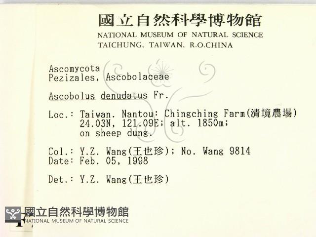 登錄號:F0007974藏品圖，第2張