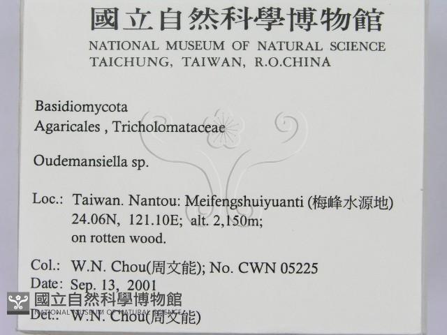 登錄號:F0015974藏品圖，第2張