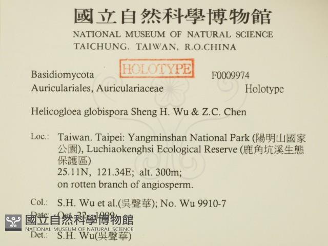 登錄號:F0009974藏品圖，第2張