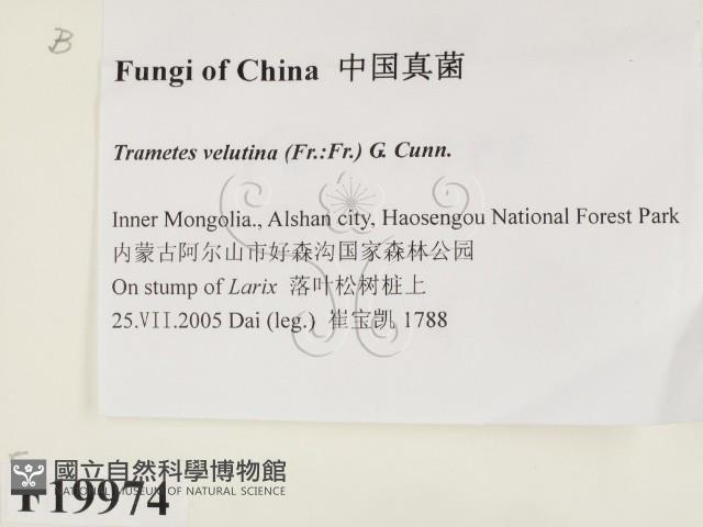 登錄號:F0019974藏品圖，第2張