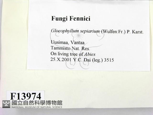 登錄號:F0013974藏品圖，第2張