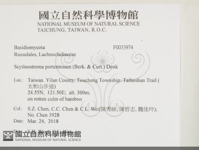 登錄號:F0033974藏品圖，第2張