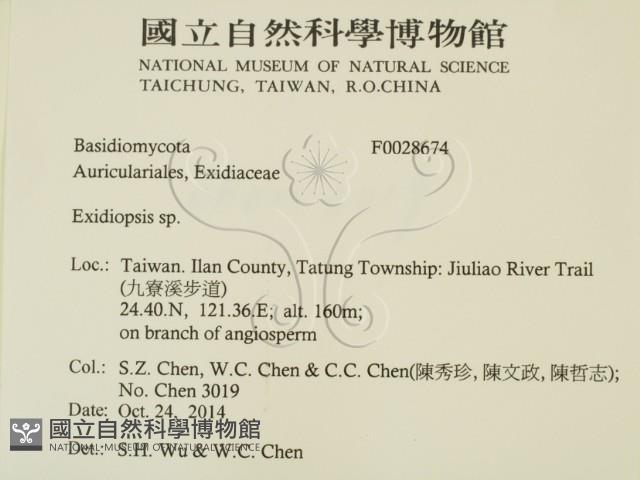 登錄號:F0028674藏品圖，第2張