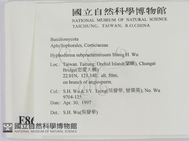 登錄號:F0008674藏品圖，第2張