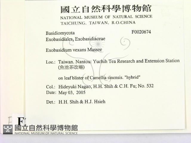 登錄號:F0020674藏品圖，第2張