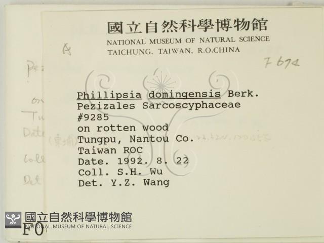 登錄號:F0000674藏品圖，第2張