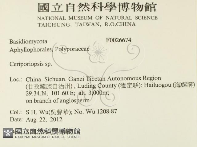 登錄號:F0026674藏品圖，第2張