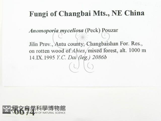登錄號:F0006674藏品圖，第2張