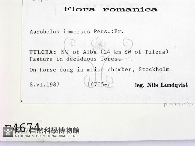 登錄號:F0004674藏品圖，第2張