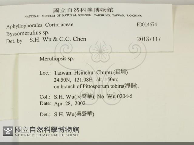 登錄號:F0014674藏品圖，第2張