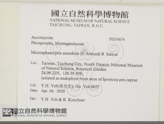 登錄號:F0034674藏品圖，第2張