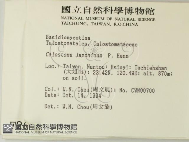 登錄號:F0002674藏品圖，第2張