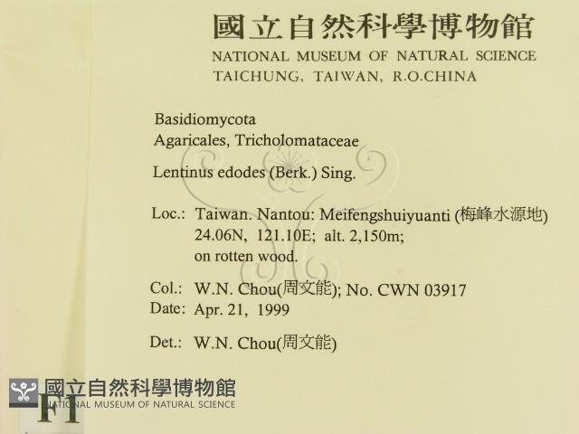 登錄號:F0012674藏品圖，第2張