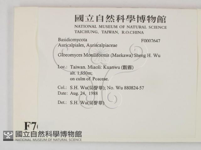 登錄號:F0007674藏品圖，第2張