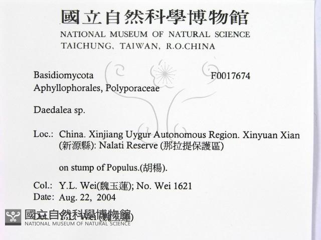 登錄號:F0017674藏品圖，第2張