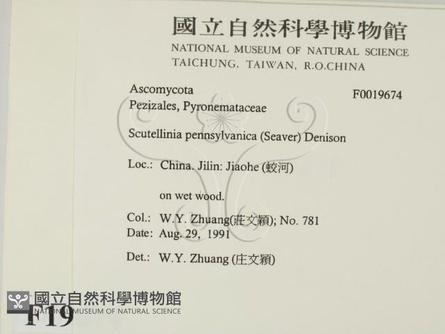 登錄號:F0019674藏品圖，第2張