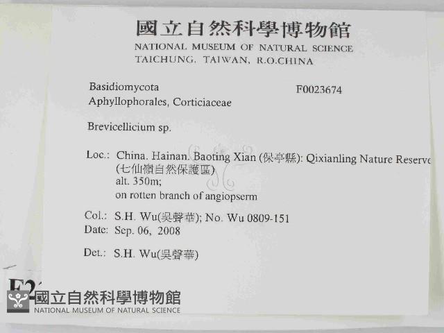 登錄號:F0023674藏品圖，第2張
