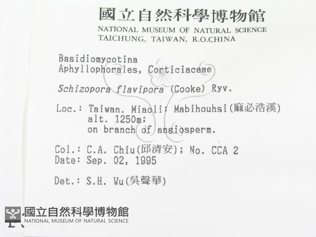 登錄號:F0003674藏品圖，第2張