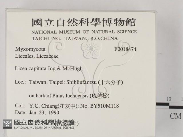 登錄號:F0018474藏品圖，第2張