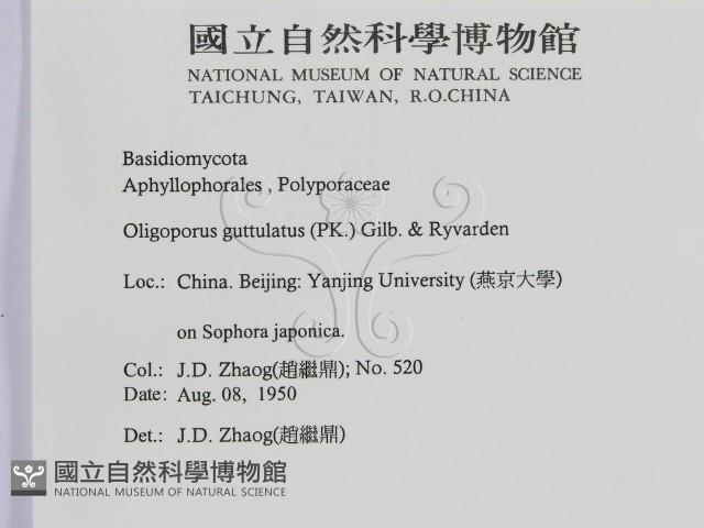 登錄號:F0016474藏品圖，第2張