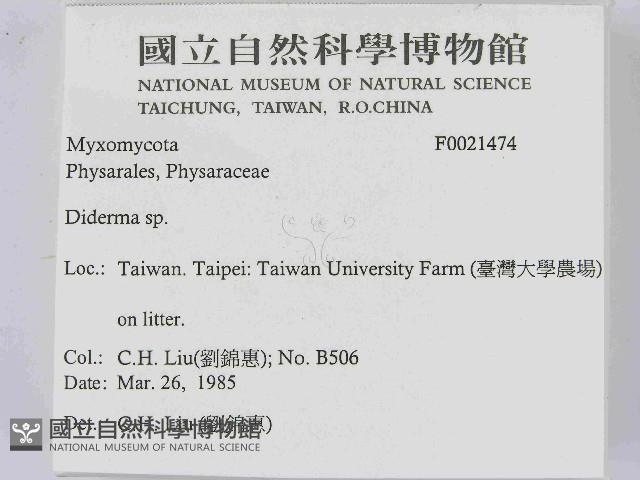 登錄號:F0021474藏品圖，第2張