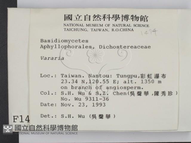 登錄號:F0001474藏品圖，第2張