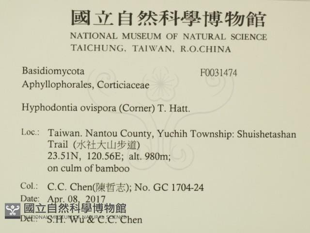 登錄號:F0031474藏品圖，第2張