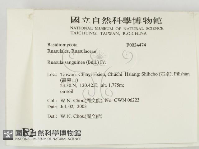 登錄號:F0024474藏品圖，第2張