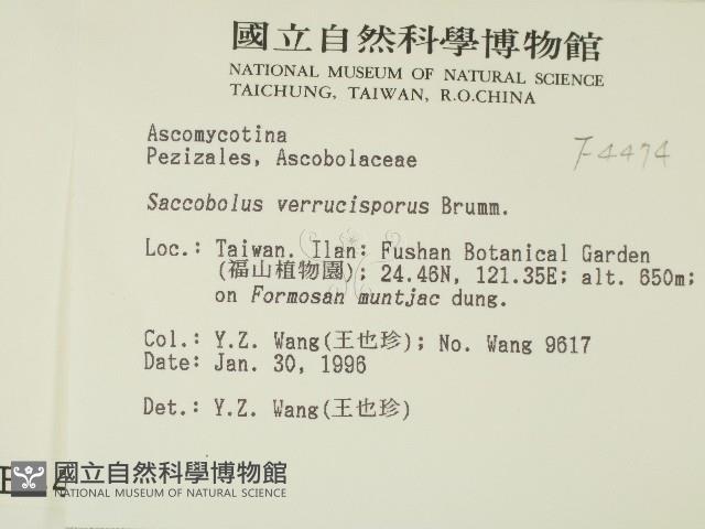 登錄號:F0004474藏品圖，第2張