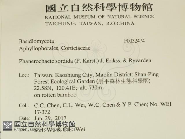 登錄號:F0032474藏品圖，第2張