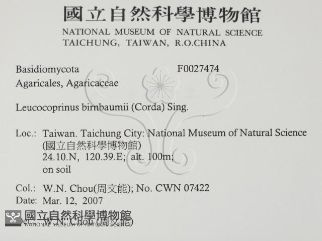 登錄號:F0027474藏品圖，第2張