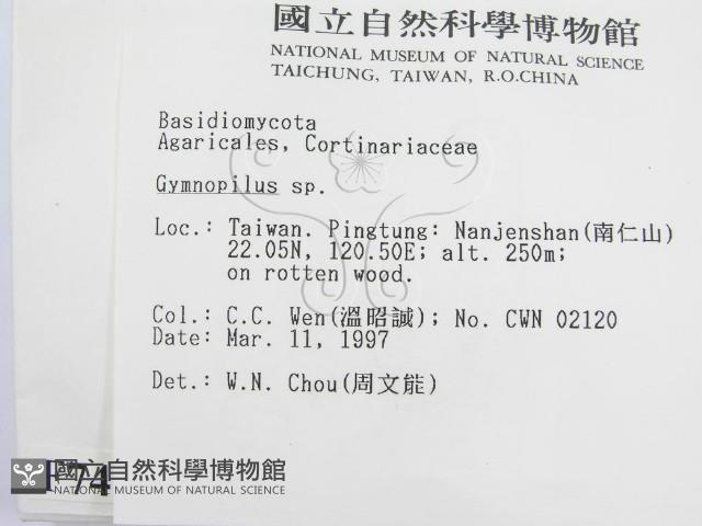 登錄號:F0007474藏品圖，第2張