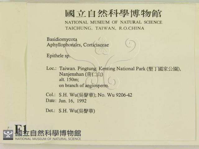 登錄號:F0015474藏品圖，第2張