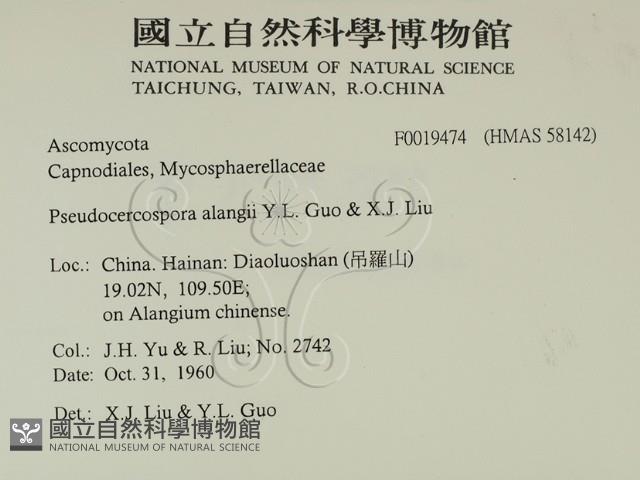 登錄號:F0019474藏品圖，第2張