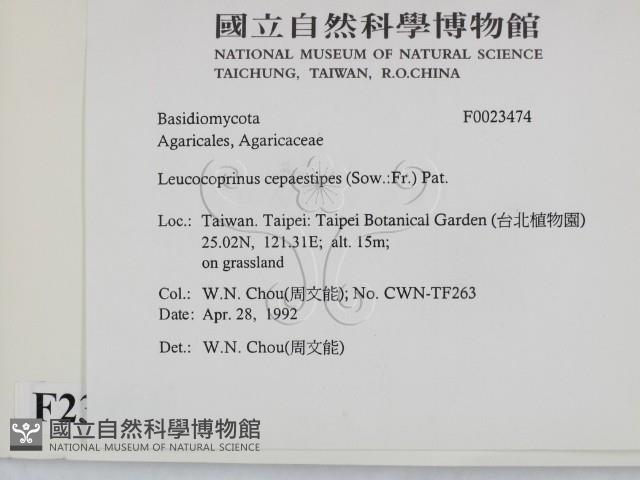 登錄號:F0023474藏品圖，第2張