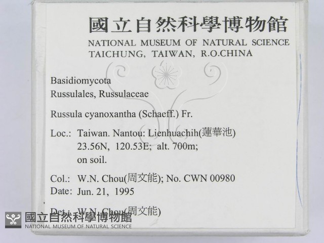 登錄號:F0003474藏品圖，第2張